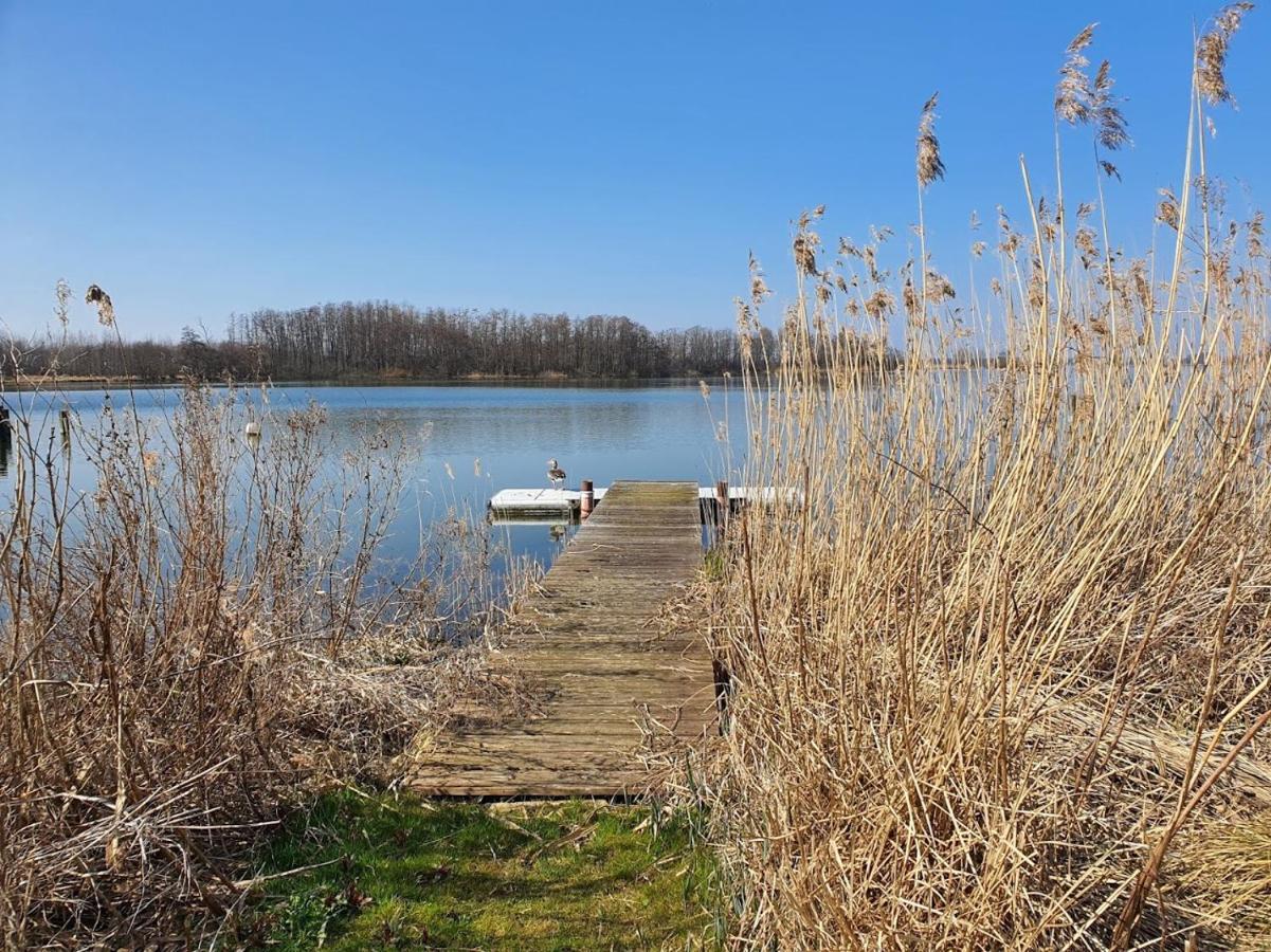 Simone'S Ferienwohnung Am Ploener See Bosau Dış mekan fotoğraf